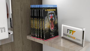 Ricostruzione 3D del libro
