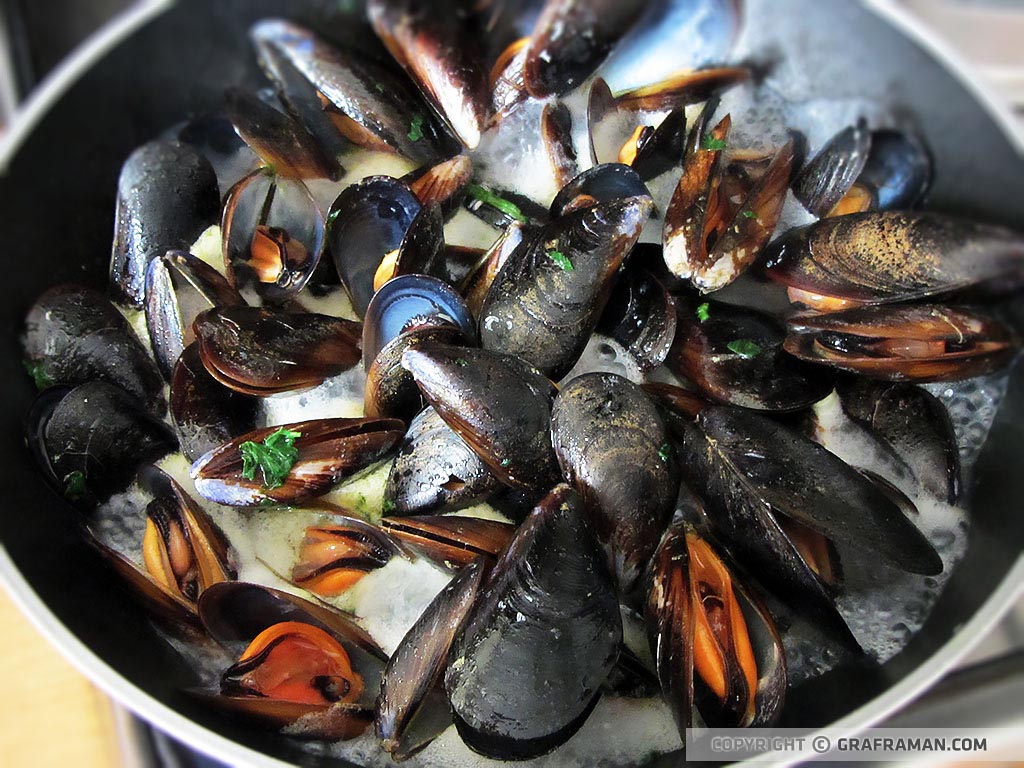 Pasta con crema di cannellini e cozze