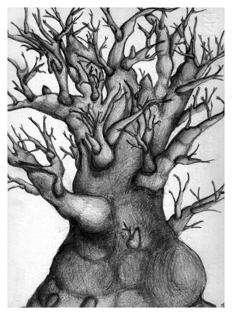 Matita, albero polimorfo