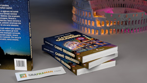 Ricostruzione 3D del libro