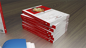 Mockup 3D del libro