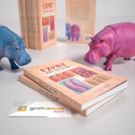 Ricostruzione 3D del libro
