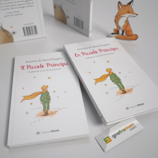 Ricostruzione 3D del libro
