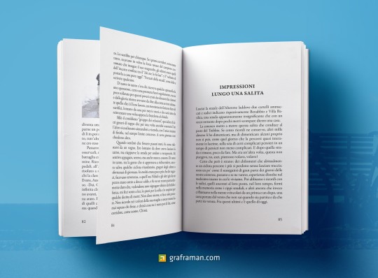 Mockup interno del libro
