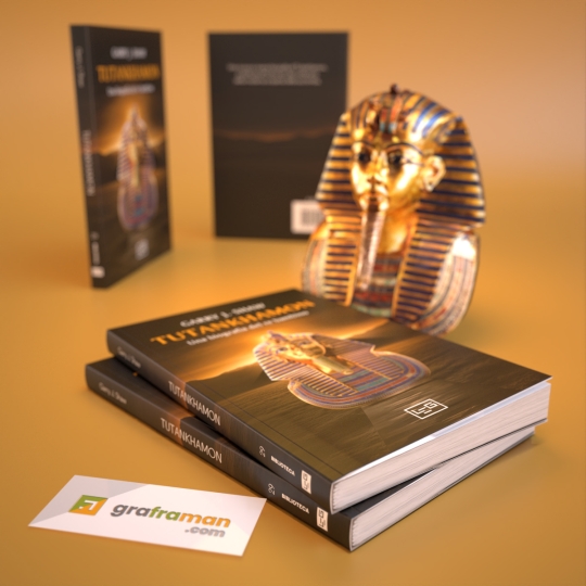 Ricostruzione 3D del libro
