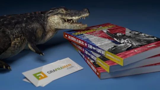 Ricostruzione 3D del libro
