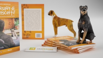 Ricostruzione 3D del libro