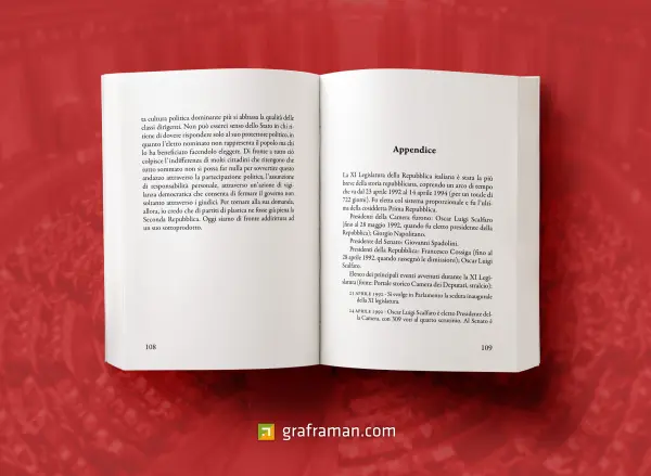 Mockup interno del libro